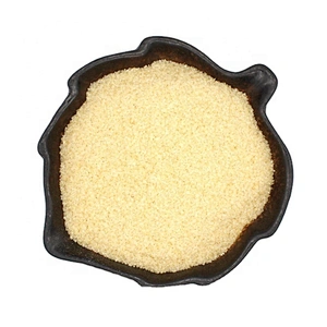 Food Additives CAS 9000-70-8 Bovine Skin Gelatin Bovine Beef Bone Gelatin 240 Bloom
